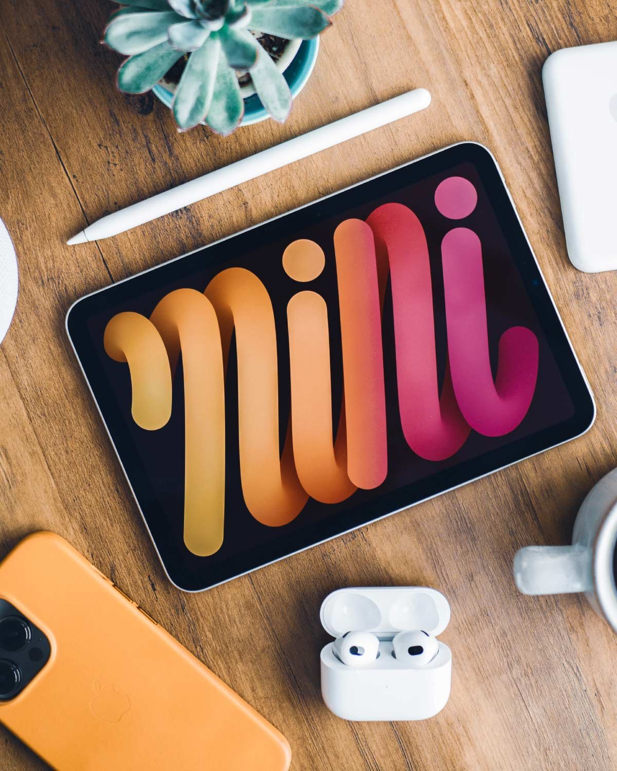 Web Design & Development Services by digiXpro